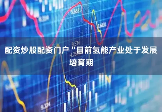 配资炒股配资门户“目前氢能产业处于发展培育期