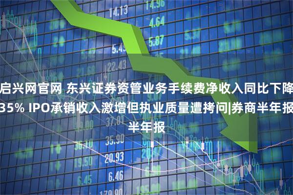 启兴网官网 东兴证券资管业务手续费净收入同比下降35% IPO承销收入激增但执业质量遭拷问|券商半年报