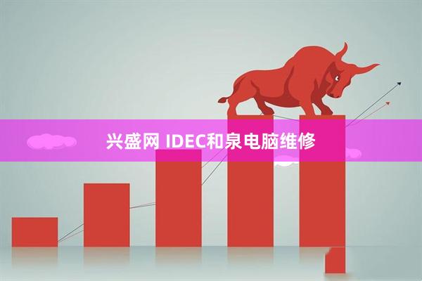 兴盛网 IDEC和泉电脑维修