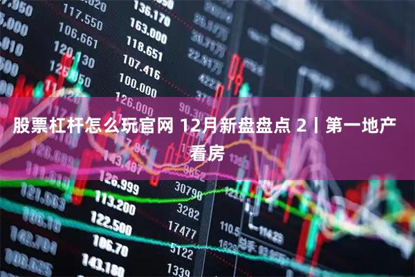 股票杠杆怎么玩官网 12月新盘盘点 2丨第一地产 看房